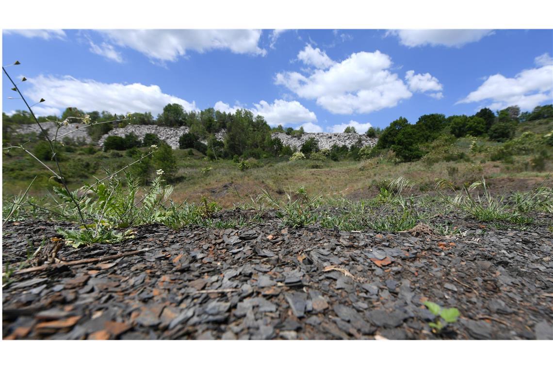 Mit Ölschiefer übersät ist der Grund der Grube Messel bei Darmstadt. Das Areal wurde 1995 erstes Weltnaturerbe in Deutschland auf der Liste der Weltkulturorganisation Unesco. In dem meterdicken, feingeschichteten Ölschiefer erzählen Fossilien, wie die Welt vor 47 Millionen Jahren aussah.