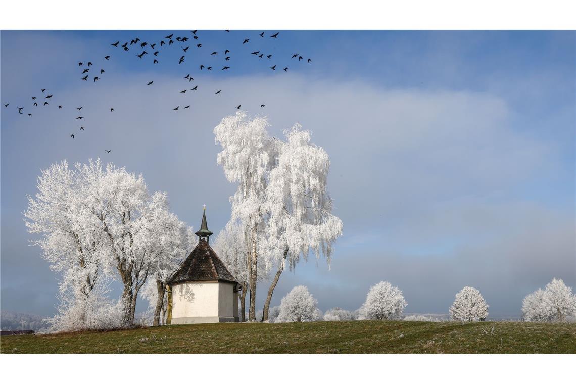 Mit Raureif überzogene Bäume neben einer Kapelle auf der Schwäbischen Alb.