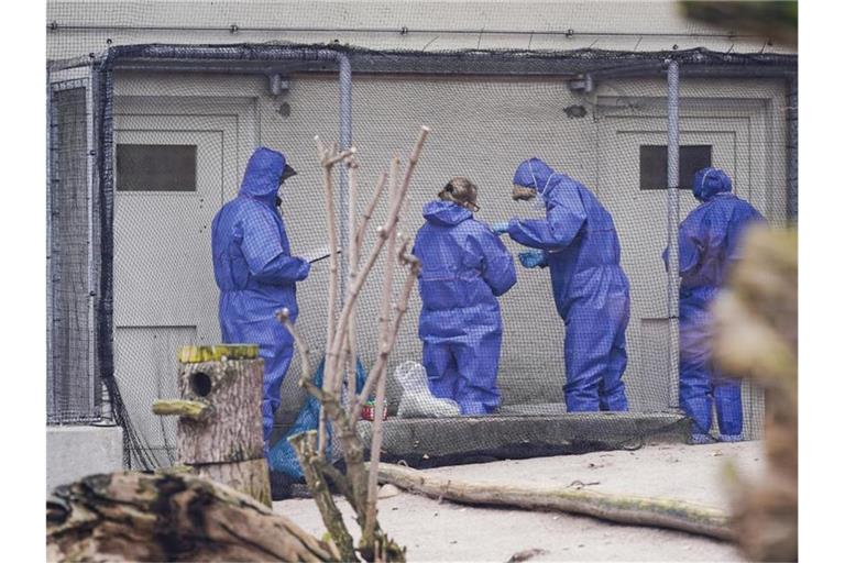 Mitarbeiter in Schutzkleidung stehen im Heidelberger Zoo in einem Vogelkäfig. Foto: Uwe Anspach/dpa