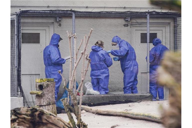 Mitarbeiter in Schutzkleidung stehen im Heidelberger Zoo in einem Vogelkäfig. Foto: Uwe Anspach/dpa/Archivbild