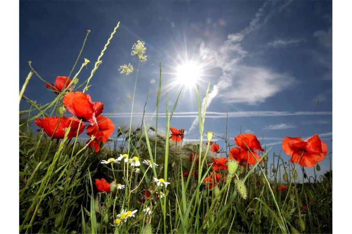  Viel  Sonne  und sommerliche Temperaturen