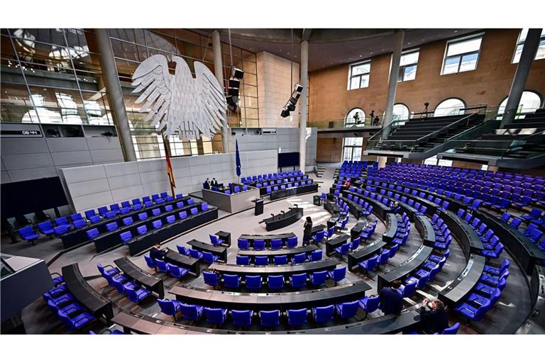 Nach dem Ampel-Aus wird das Programm im Bundestag voraussichtlich zusammengestrichen.