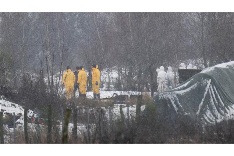 Nach dem Ausbruch der Maul- und Klauenseuche wurde zunächst eine Wasserbüffel- Herde getötet. Fachleute waren im brandenburgischen Landkreis Märkisch-Oderland im Einsatz.