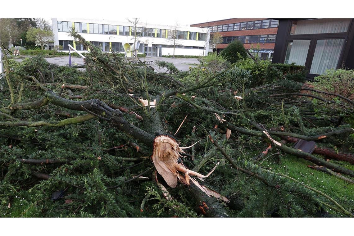 Nach einem Unwetter liegen umgestürzte Bäume auf dem Gelände eines Gymnasiums. In Korschenbroich bei Mönchengladbach hat möglicherweise ein Tornado viel Schaden angerichtet.
