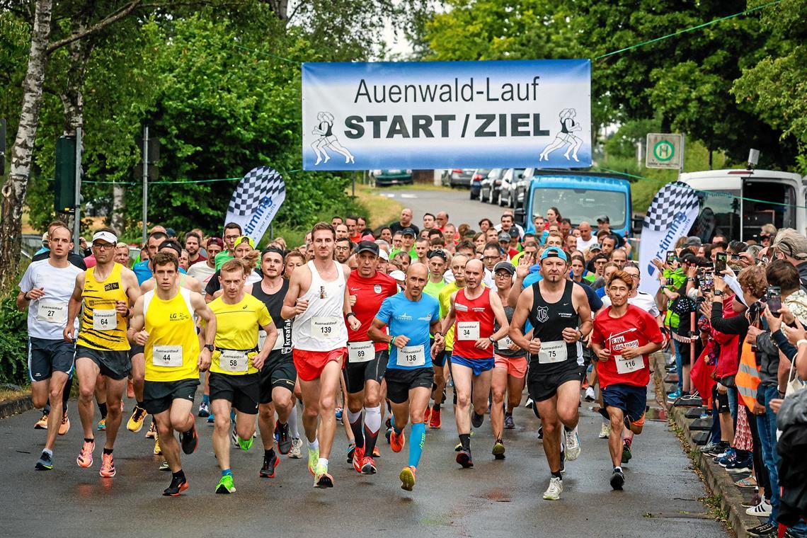 Nach leichtem Regen im vergangenen Jahr hoffen die Veranstalter für den 15. Auenwaldlauf am Samstagabend auf trockenes Wetter. Foto: Alexander Becher