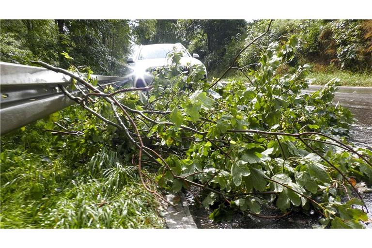 Nächtliche Gewitter und Starkregen haben in Teilen Baden-Württembergs für Einsätze der Feuerwehr und Polizei gesorgt.