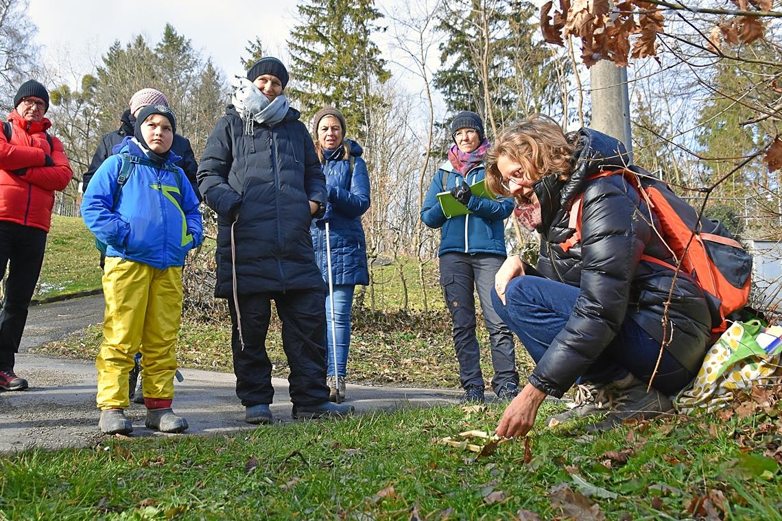 Naturparkführerin Michaela Genthner erklärt bei einer Kräuterwanderung rund um das Schloss Ebersberg, was die Natur alles an Essbarem hergibt. Fotos: Tobias Sellmaier