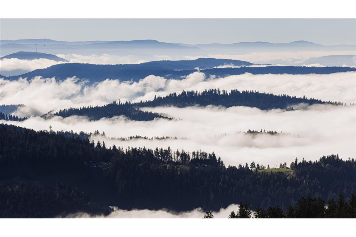 Nebel liegt zwischen den Höhenzügen des Schwarzwalds im Nationalpark Schwarzwald.