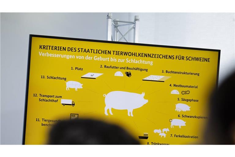 Niedrigere Steuern auf Lebensmittel und ein neues europäisches Tierwohlkennzeichen: Das sind zwei der Empfehlungen aus einem Expertenbericht zu Europas Agrarpolitik. (Archivbild)