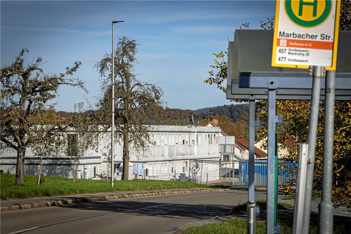 Ob der Containerstandort in der Marbacher Straße weiterhin bestehen bleibt, müssen Landratsamt und Gemeindeverwaltung in den kommenden Wochen klären. Foto: Alexander Becher