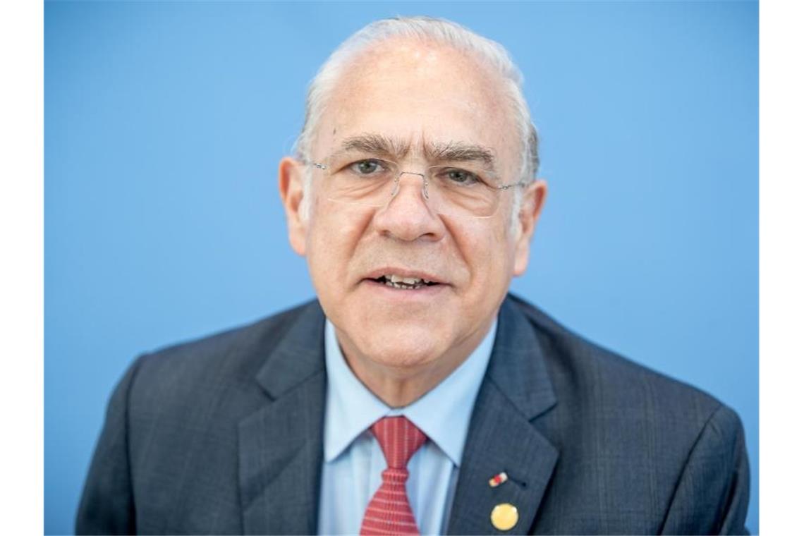 OECD: Wirtschaftsaufschwung ist da OECD-Generalsekretär Angel Gurria stellt den Wirtschaftsbericht der Organisation für Deutschland vor. Foto: Michael Kappeler/dpa