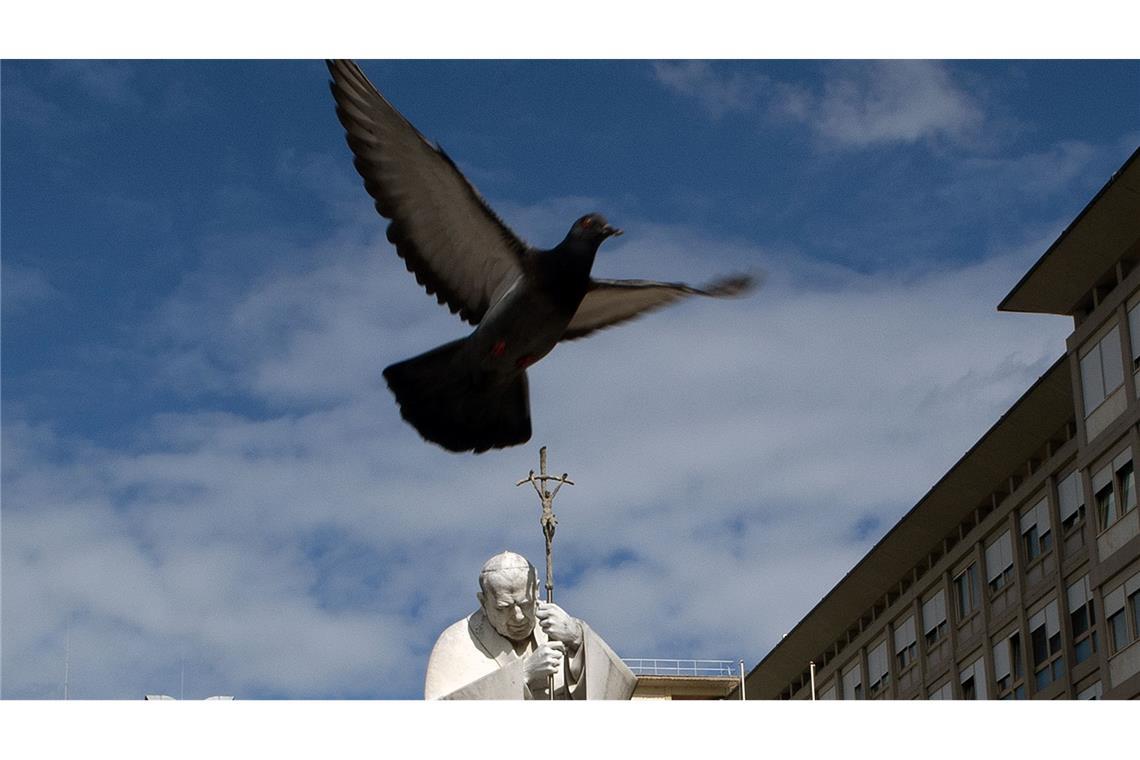 Papst Franziskus im Krankenhaus: Eine Taube fliegt vor der Statue von Johannes Paul II. vor der Poliklinik Agostino Gemelli.