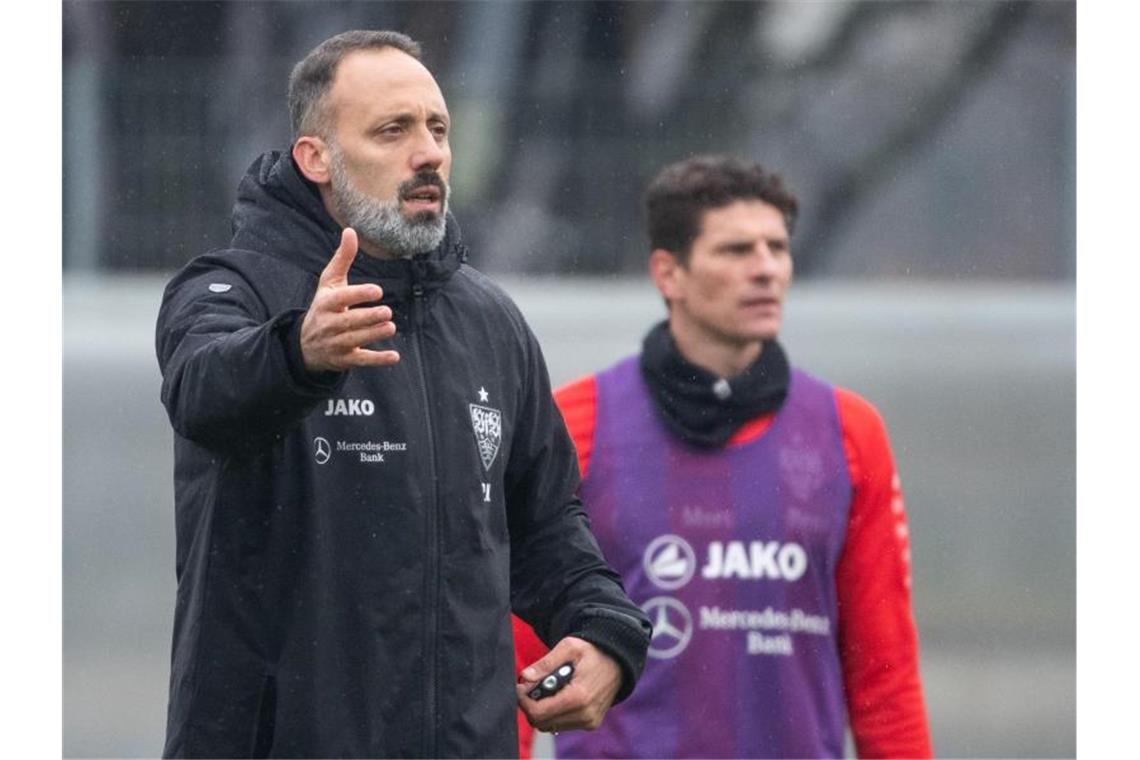 VfB Stuttgart testet zu Hause gegen Dynamo Dresden Pellegrino Matarazzo, Trainer des VfB Stuttgart, gestikuliert. Foto: Sebastian Gollnow/dpa/Archivbild
