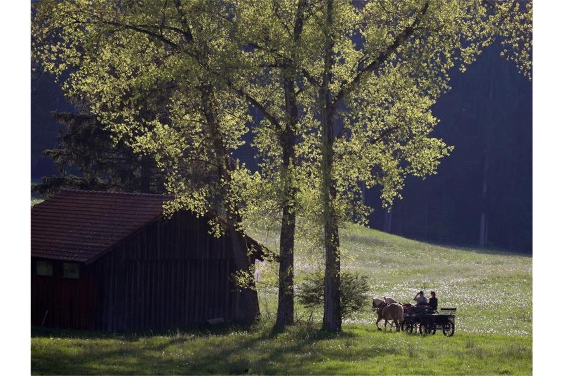 Sonne hier, Regen dort: Das Wetter wird durchwachsen Pferde ziehen eine Kutsche durch die frühsommerliche Landschaft im bayrischen Bertoldshofen. Foto: Karl-Josef Hildenbrand