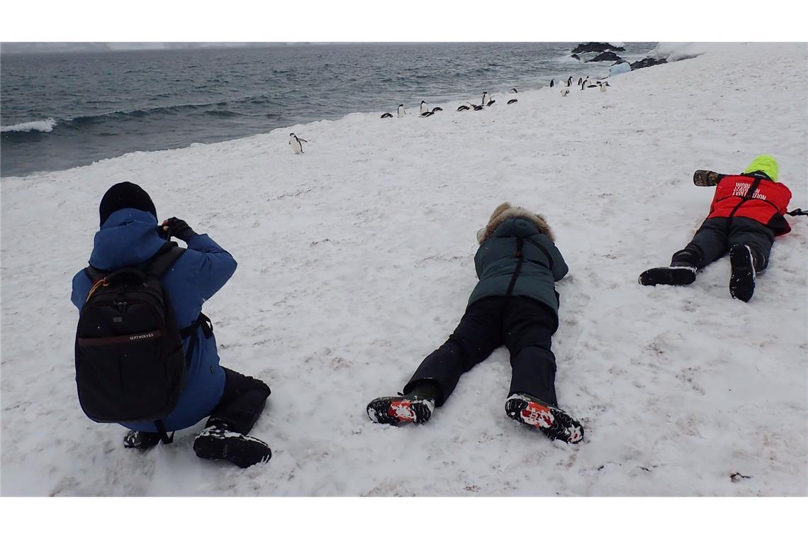 Pinguine so hautnah vor die Linse zu bekommen, reizt die meisten Touristen.