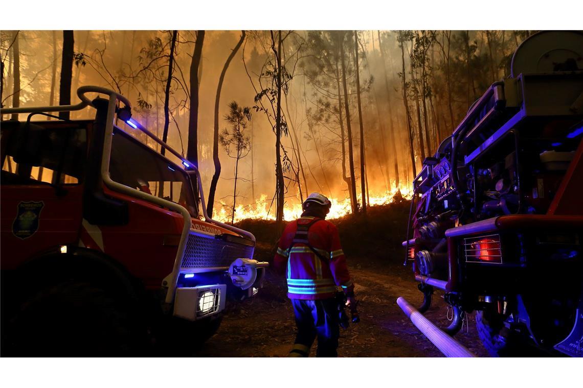 Portugal wurde in diesem Jahr von den schlimmsten Waldbränden seit 2017 heimgesucht.