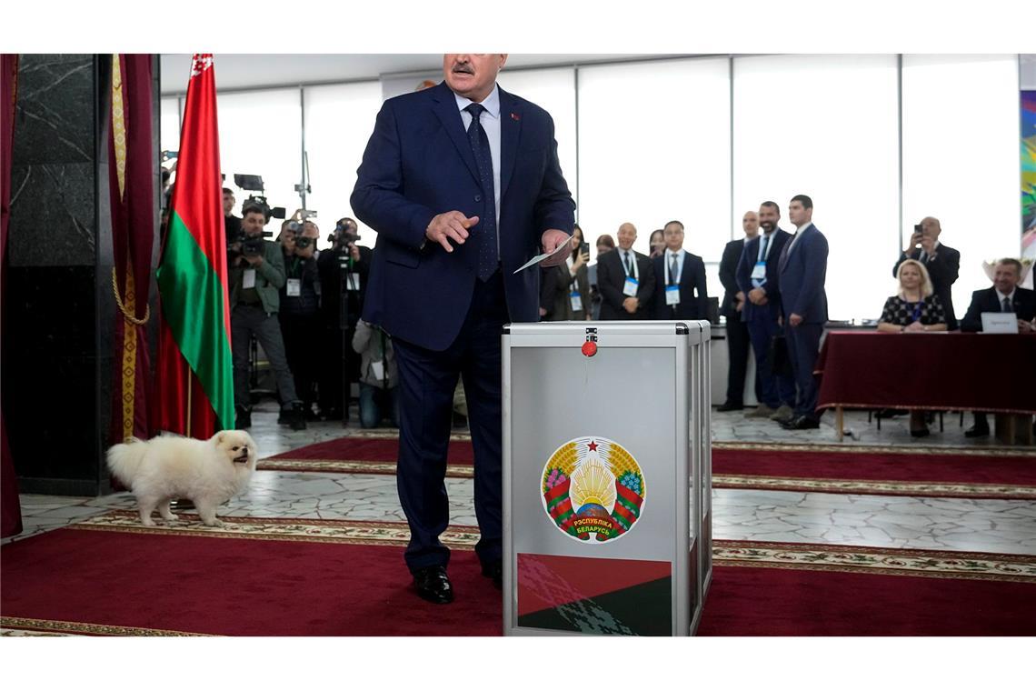 Präsidentenwahl in Belarus mit Hund: Lukaschenko gibt Stimme in Minsk ab