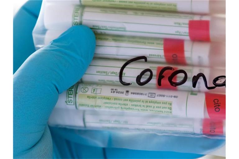 Proben für Corona-Tests werden im Diagnosticum-Labor in Plauen für die weitere Untersuchung vorbereitet. Foto: Hendrik Schmidt/dpa-Zentralbild/Symbolbild