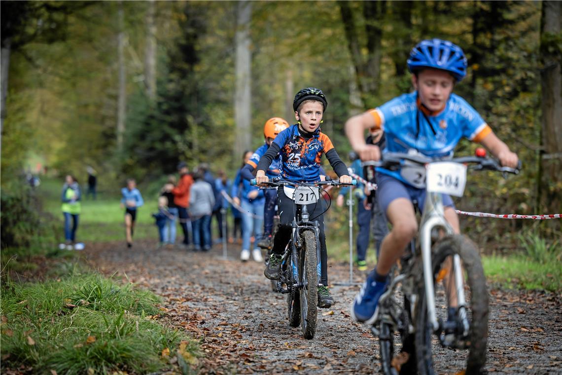 Rad an Rad geht es durch den Plattenwald.