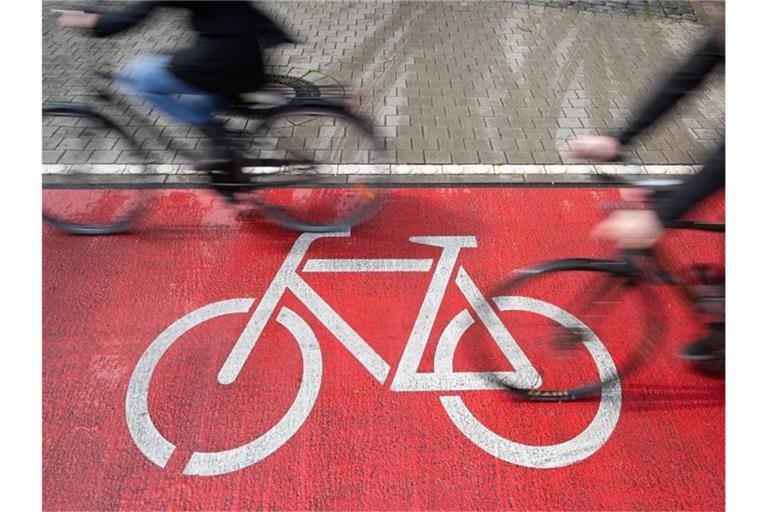 Radfahrer fahren auf einem Radweg. Foto: Friso Gentsch/dpa/Symbolbild