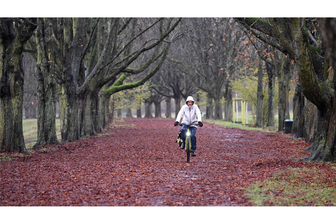 Regen hier, Graupel dort - und auch Schnee könnte es in den kommenden Tagen geben.