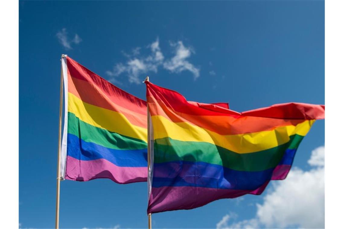 Studien zur sexuellen Vielfalt im Unterricht gefordert Regenbogenfahnen wehen bei einer Demonstration. Foto: picture alliance / Gregor Fischer/dpa/Symbolbild