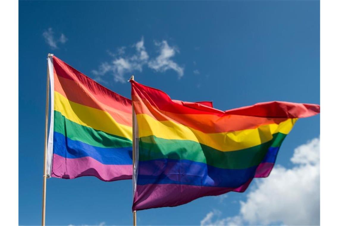 Regenbogenfahnen wehen im Wind. Foto: picture alliance / Gregor Fischer/dpa/Symbolbild