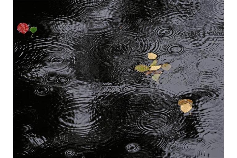 Regentropfen erzeugen Ringe auf einer Wasseroberfläche. Foto: Paul Zinken/dpa/Symbolbild