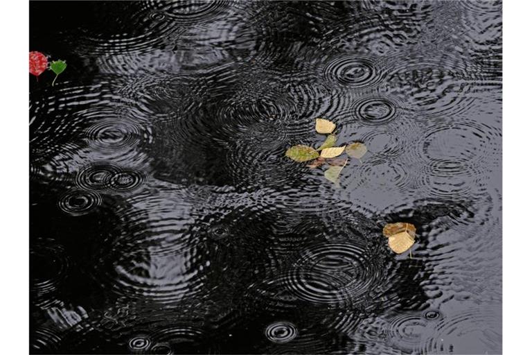 Regentropfen erzeugen Ringe auf einer Wasseroberfläche. Foto: Paul Zinken/dpa/Symbolbild