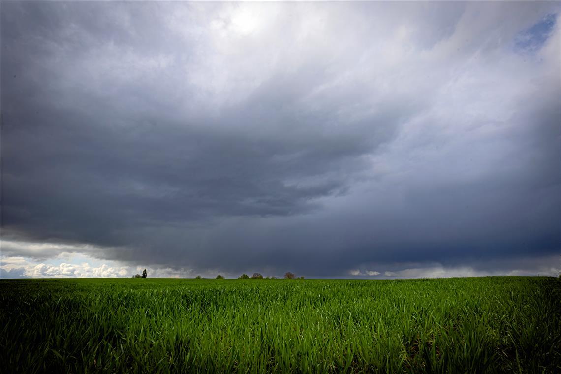 Regenwolken hängen über einem Feld bei Erdmannhausen. Ein ganz typischer Anblick im Monat Mai.Foto: Alexander Becher