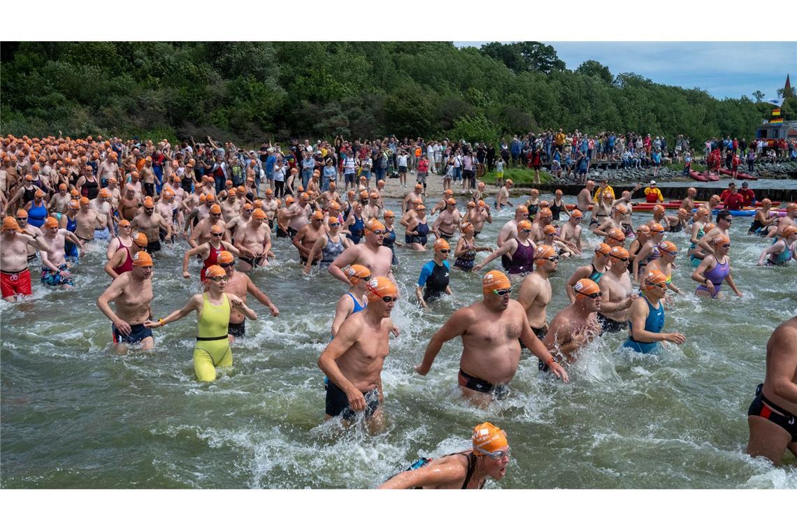 Rein ins Kühle Nass: Mehr als tausend Menschen stürzen sich anlässlich des 59. Sundschwimmens in die 18 Grad kalte Ostsee.