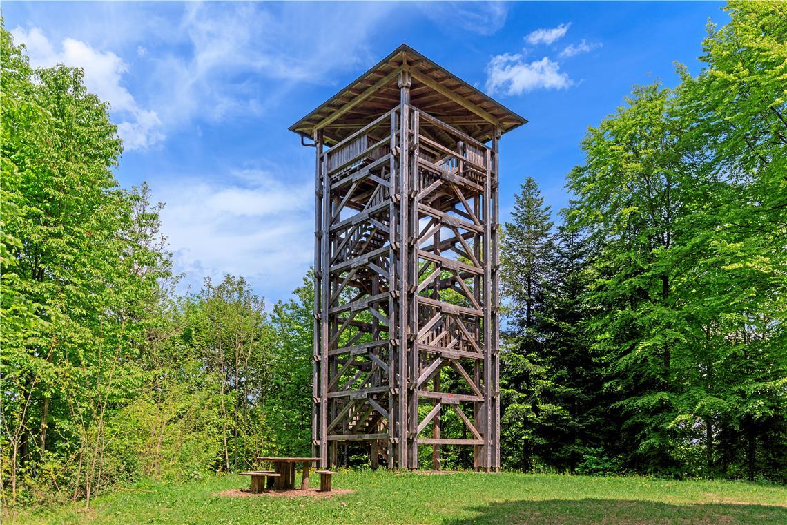 Riesbergturm. Foto: Stefan Bossow