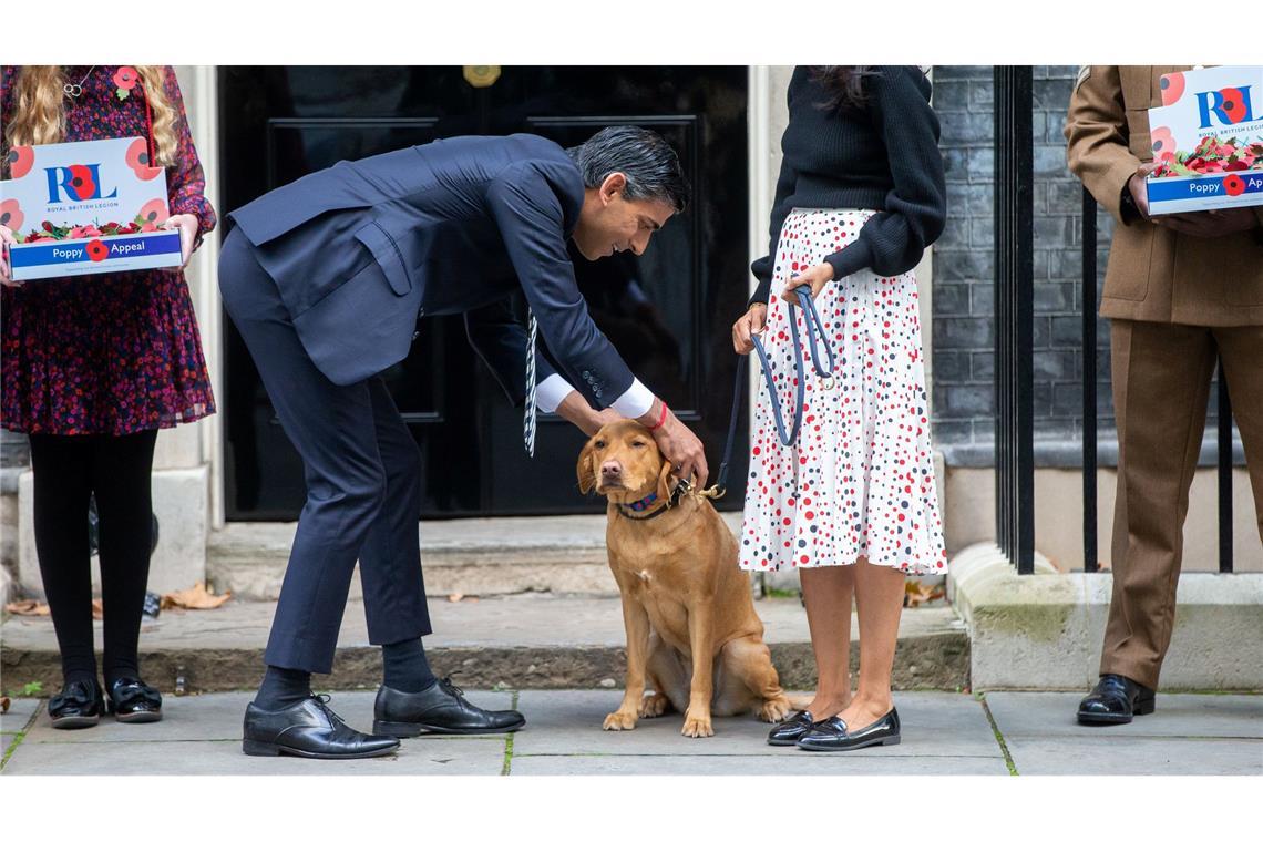 Rishi Sunaks Hund heißt Nova. (Archivbild)