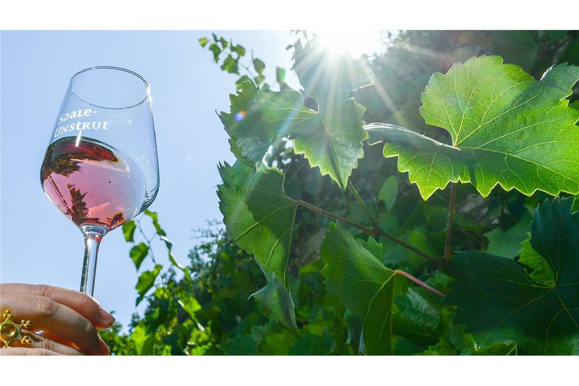 Rosé-Wein wird gerne getrunken.