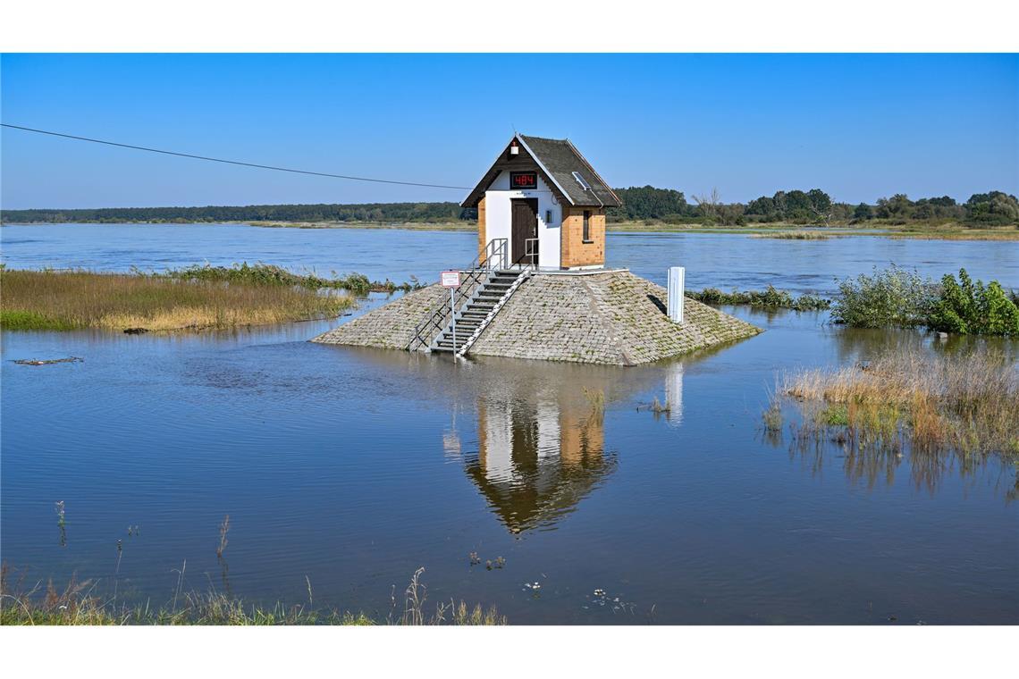 Rund um das Pegelhäuschen auf einem Sockel am Oderufer in Ratzdorf (Oder-Spree-Kreis) ist schon der hohe Wasserstand zu sehen.