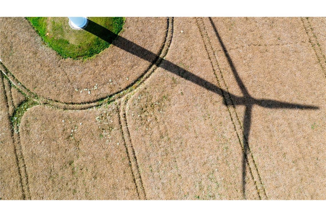 Schattenspiel: der Schatten einer Windkraftanlage fällt auf ein Getreidefeld.