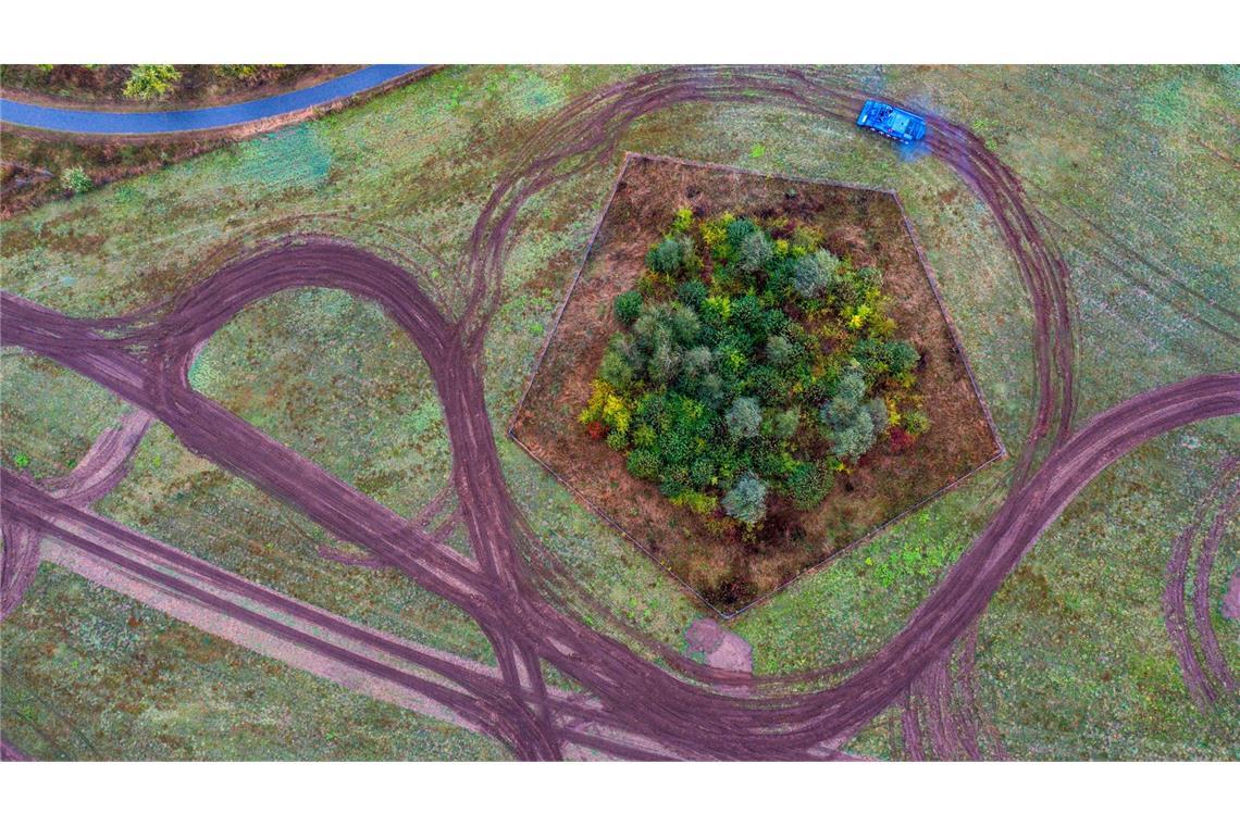 Schlangenlinien für besseren Artenschutz: Mit einem Bergepanzer wird am Stadtrand von Schwerin eine Natur-Ausgleichsfläche für die Ansiedlung von Reptilien vorbereitet.