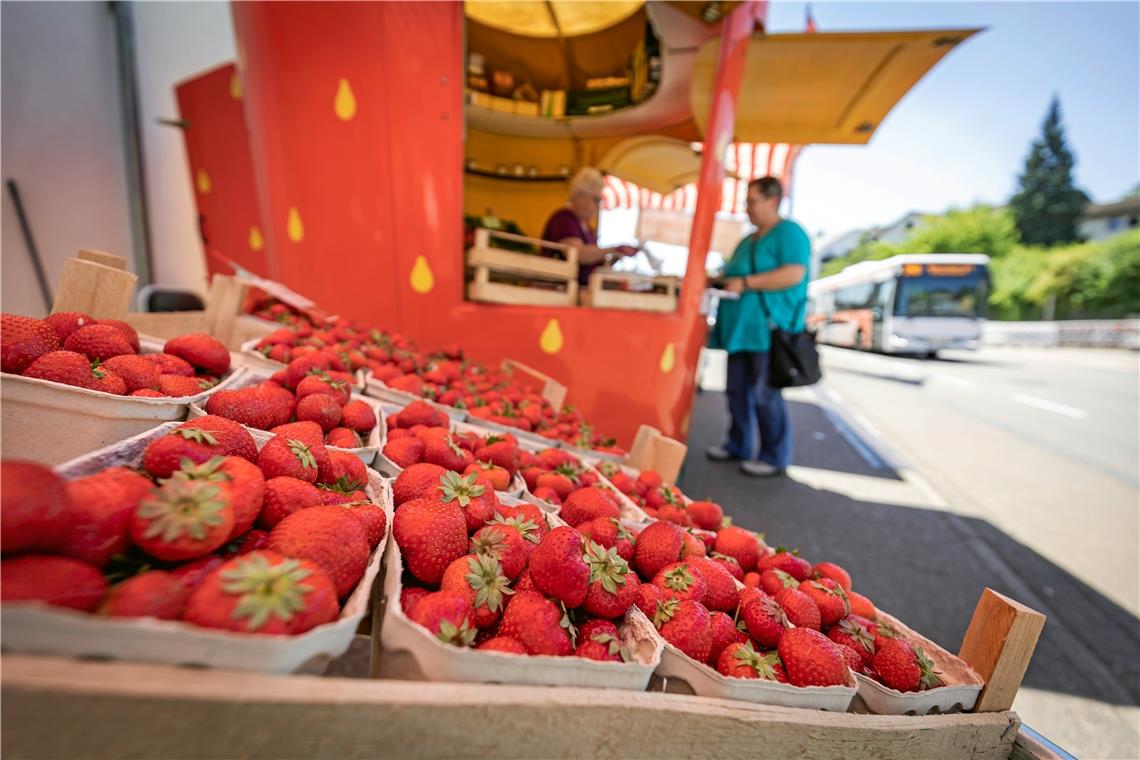 Erdbeerernte verspricht guten Genuss Schmackhafte Erdbeeren sowie Kirschen, Spargel und Co. bietet die Familie Schaaf auch an ihrem Stand in der Sulzbacher Straße in Backnang an. Foto: Alexander Becher