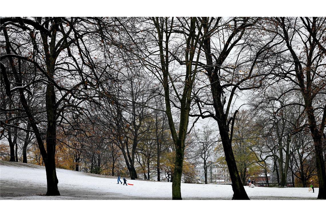 Schnee in Hamburg: unterwegs mit dem Schlitten im Schanzenpark.