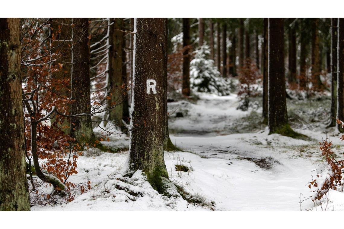 Schneefälle haben den Rennsteig im Thüringer Wald in eine Winterlandschaft verwandelt.