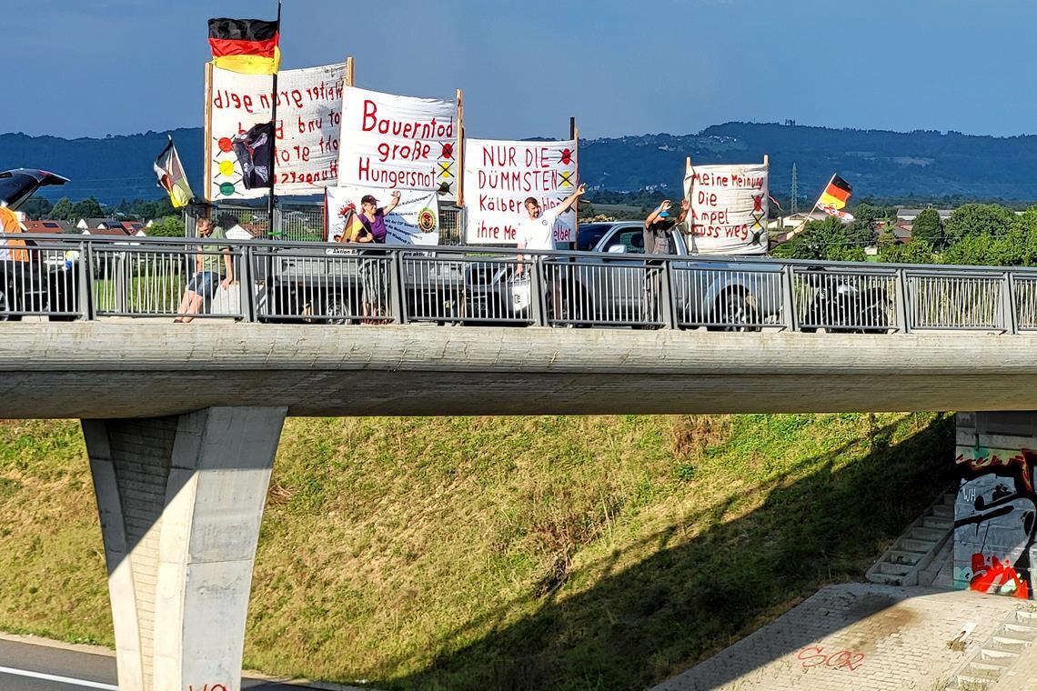 Seit April protestieren sie dienstags auf der Brücke zwischen Waldrems und Nellmersbach. Mal gibt es zustimmendes Hupen, mal zeigen Autofahrer den Mittelfinger. Foto: K. Doberer