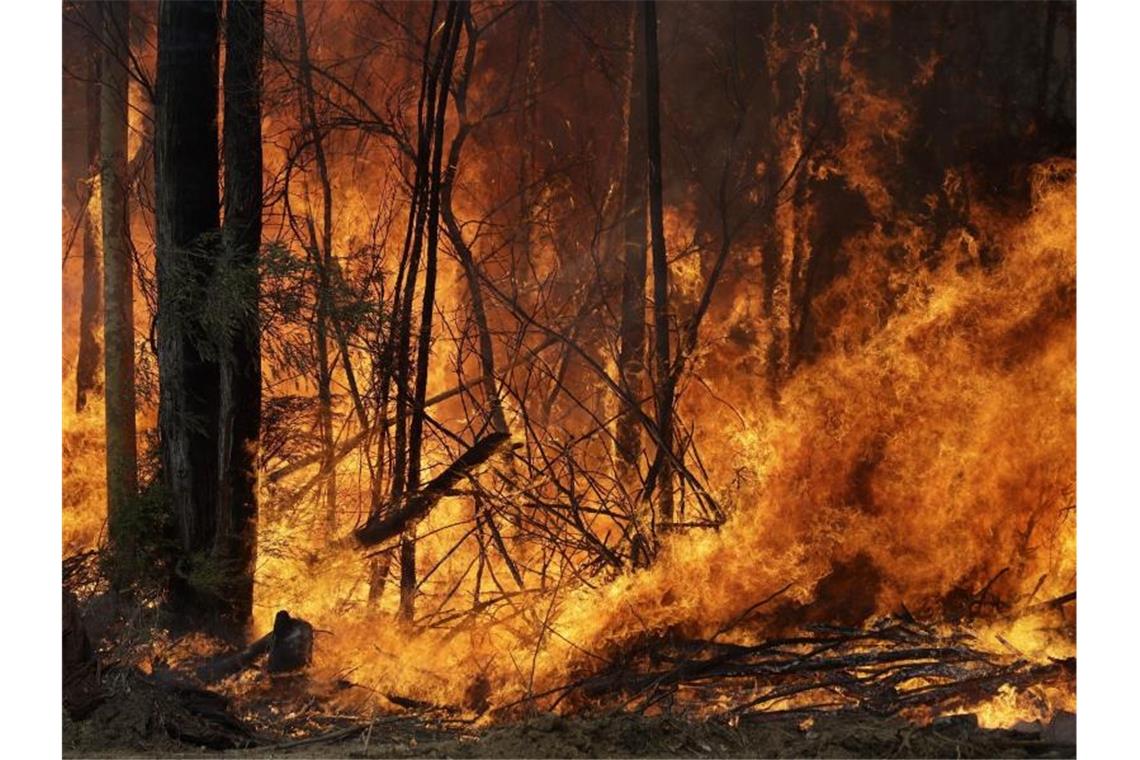 „Megafeuer“ in Australien - und die Zahl der Toten steigt Seit Beginn der großen Buschfeuer im Oktober verbrannten in Australien mehr als zehn Millionen Hektar Land. Foto: Rick Rycroft/AP/dpa