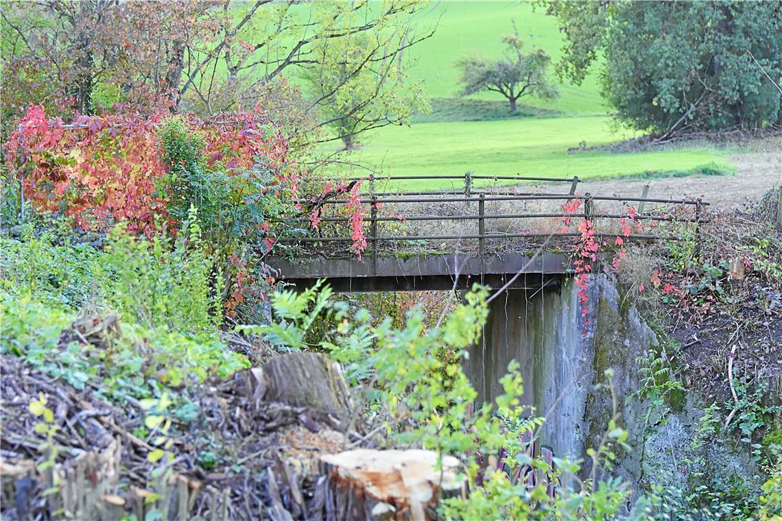 Seit Jahrzehnten ist über diese Brücke niemand gefahren. Jetzt wird ein Neubau für über eine halbe Million Euro erstellt. Alternativen dazu gibt es laut RP keine. Foto: Tobias Sellmaier