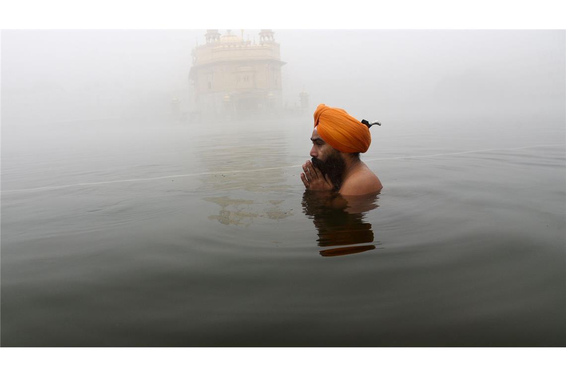 Sikh-Festival in Indien: Ein Sikh-Anhänger betet im Teich, der den Goldenen Tempel umgibt.