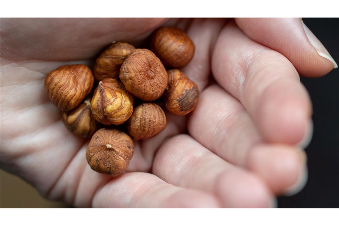 So gesund: Haselnüsse gibts natürlich auch im Herbst. (Archivbild)