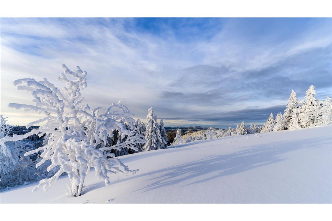 So wie hier am 10. Januar 2024 am Feldberg könnte sich das Bergland zu Weihnachten tief verschneit zeigen.