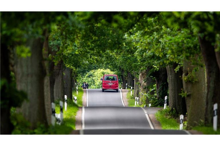 Sonnenschein und Regenschauer: Ein Auto fährt durch eine Allee im Biosphärenreservat Schaalsee. Das Wetter in Norddeutschland bleibt in den nächsten Tagen wechselhaft.