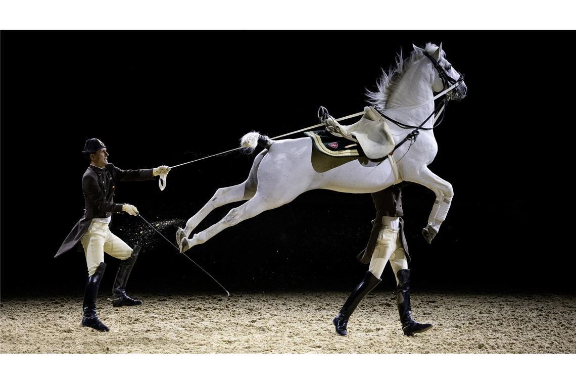 Spanische Hofreitschule tritt mit ihren Lipizzanern in Wembley auf