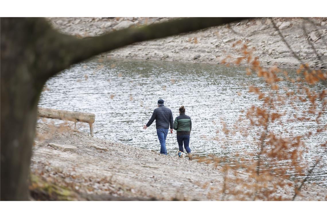 Spaziergänger am Bärensee in Stuttgart (Archivbild)