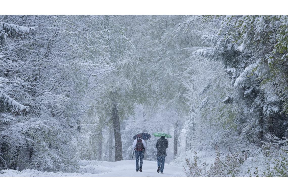 Spaziergänger laufen über einen verschneiten Wanderweg im Taunus.